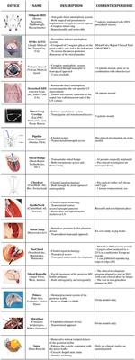 Emerging Technologies for Percutaneous Mitral Valve Repair